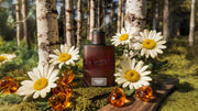 Midnight Birch Cologne - Fresh Scent