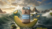 Coastal Mist Invisible Glide Deodorant - Bright Travel Glide