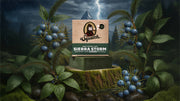 Sierra Storm - Essential Lather