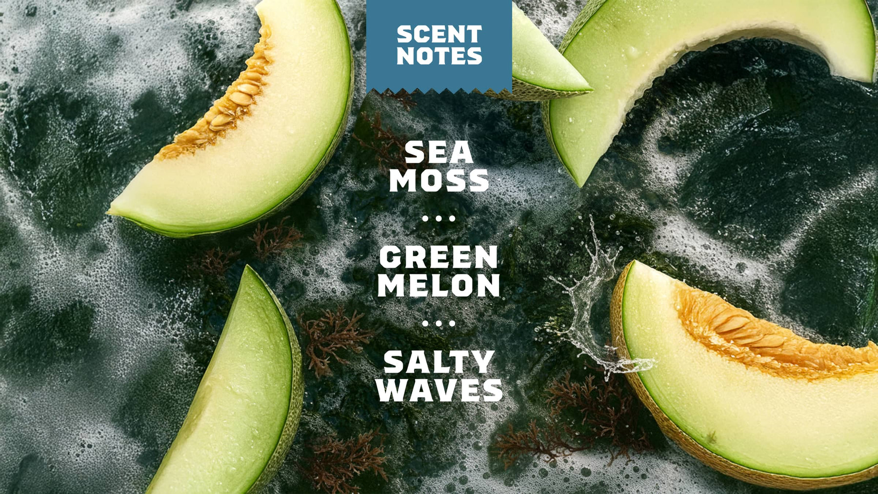 Coastal Mist Spray Deodorant - Premium Travel Glide