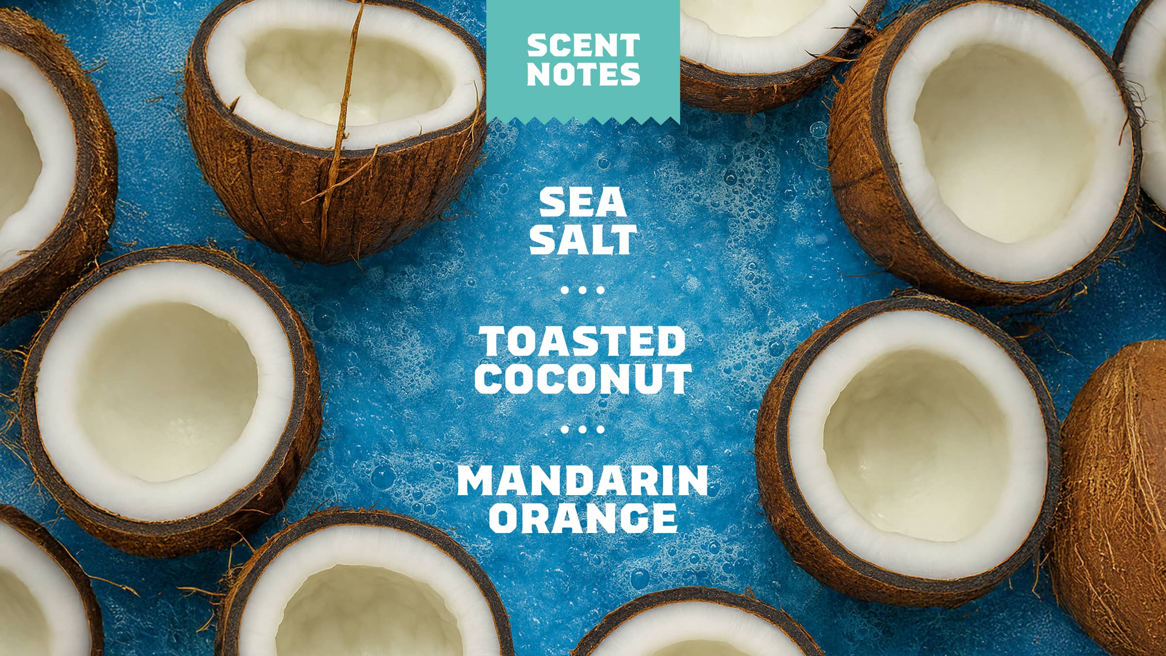 14 oz Coconut Castaway Body Wash - Outdoor Trail Start