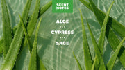Cool Fresh Aloe Full & Thick Shampoo - Daily Shower Clean