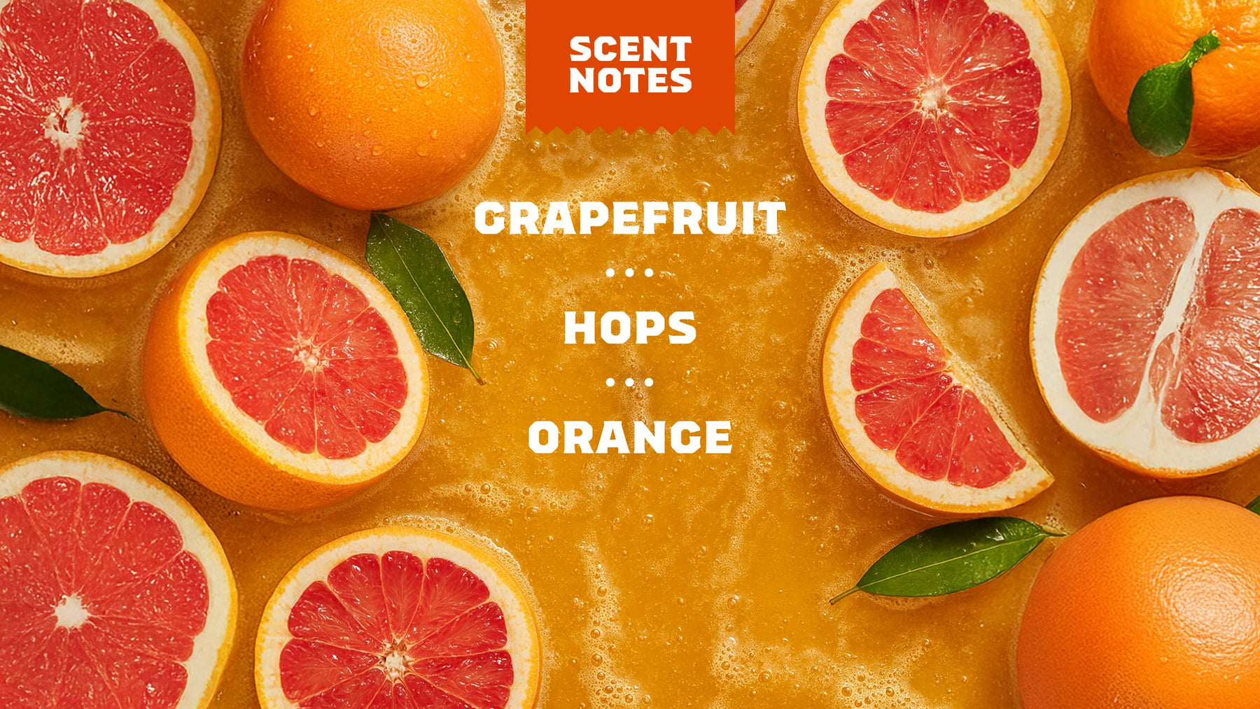 Grapefruit IPA - Bright Morning Bar