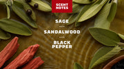 14 oz Sandalwood Summit Body Wash - Forest Wash