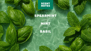Spearmint Basil - Fresh Outdoor Wash