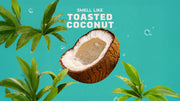 Coconut Castaway Shampoo - Thick Wash