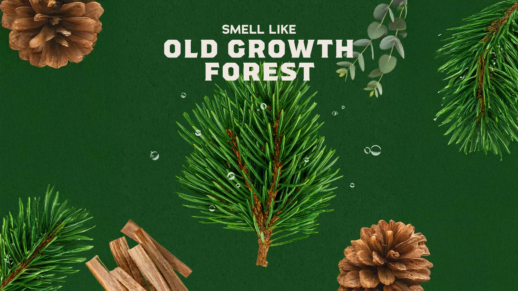 Soothing Post Shave Pine Tar - Active Fresh Style