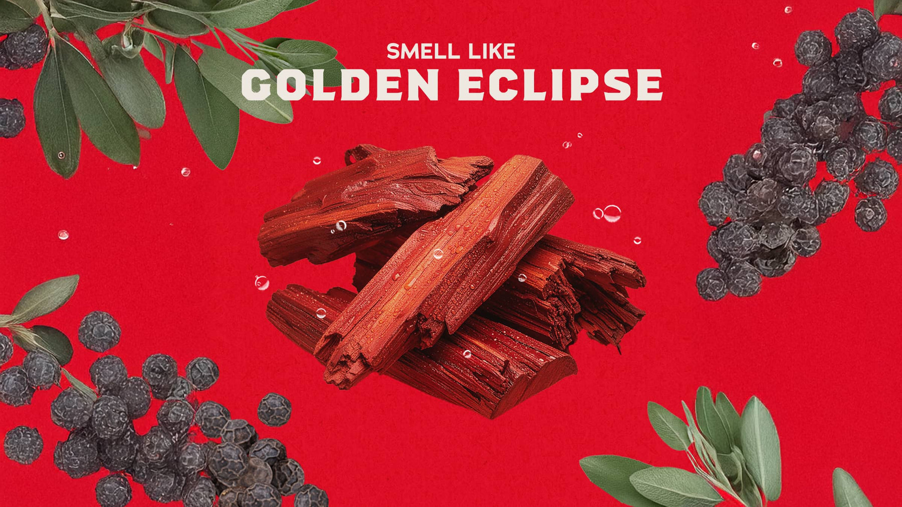Sandalwood Summit - Simple Wash
