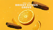 Summer Citrus - Fresh Lather