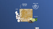 FIFA Golden Glory 3-Pack Bar Soap Bundle - Collector Gift Lineup
