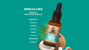 Beard Oil 3-Pack - Premium Pick